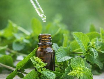 Dropper adding liquid to a small bottle surrounded by fresh green leaves.