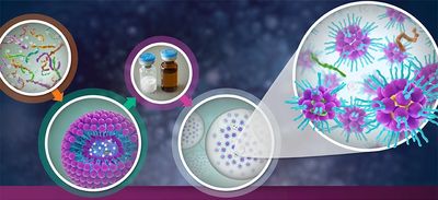 How liposomes encapsulate and enmesh the active ingredients, antigens, in their bilipid membranes.