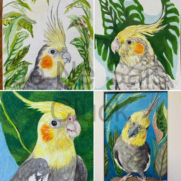 I drew these cockatiels for the ABC tv show "The Rookie". They appear in Season 5, episode 13!