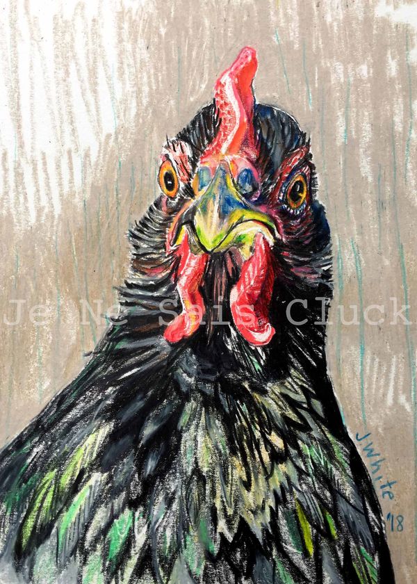 My Jersey Giant Hen, Bindin. This bird portrait was made with colored pencils. She’s a great friend.