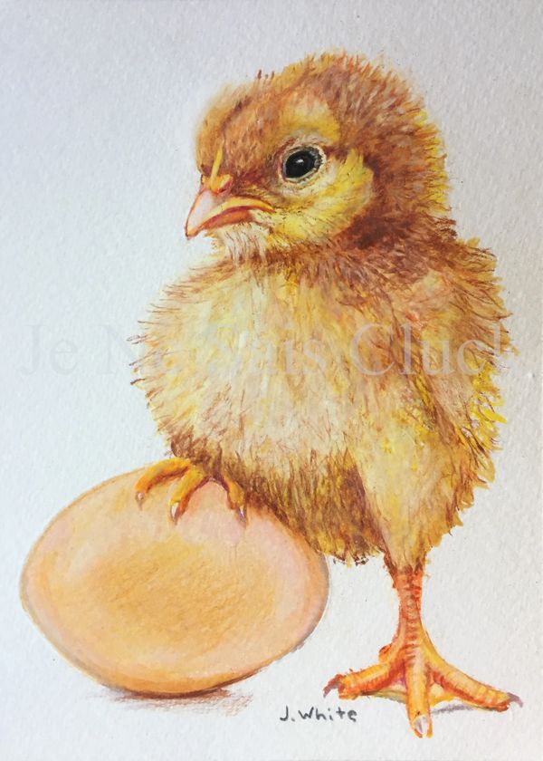 This portrait is of a chick with her foot on an egg.
