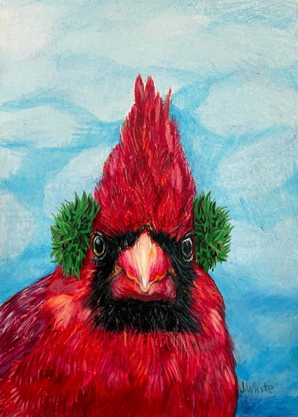 Cardinal with Earmuffs. I drew this bird portrait using colored pencils.