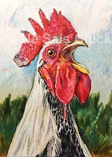 This is a rooster crowing portrait that I sell as a print and a greeting card. Julio from Bothell WA