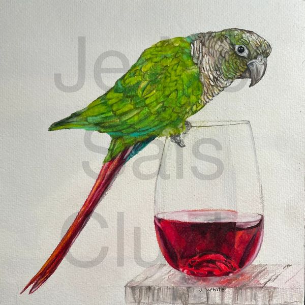 This is a custom portrait of Kiwi, a conure who loved red wine. He loved a long and happy life.