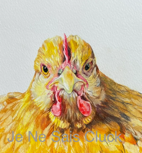 Margie, my Buff Orpington Hen. 
She's sitting and spread out like a pancake for this image. The orig