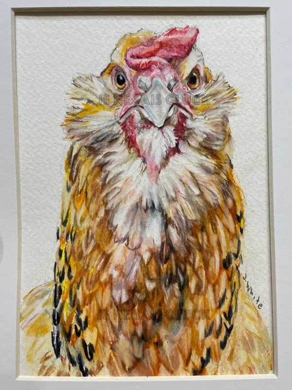This is Pepper, a Seattle Easter Egger hen. I drew her using colored pencils for on a commission.