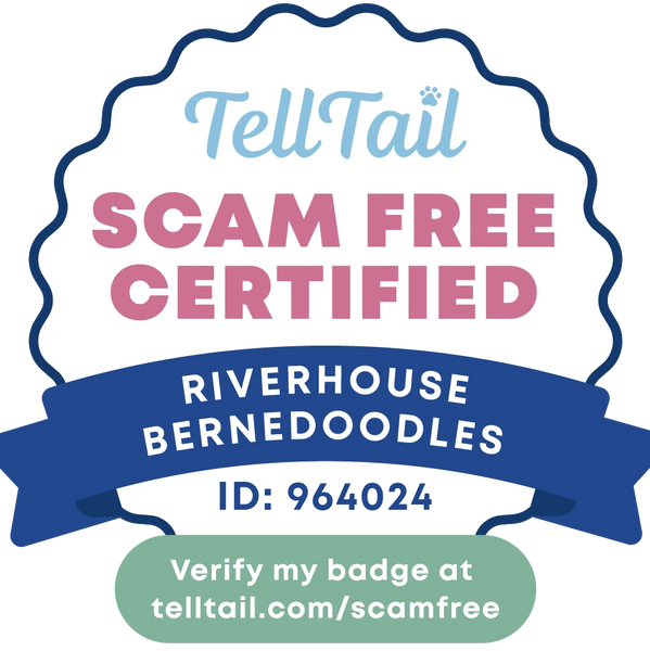 image of a scam free certification badge earned by TellTail 
