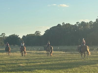 Group horseback riding in an open field at sunset.