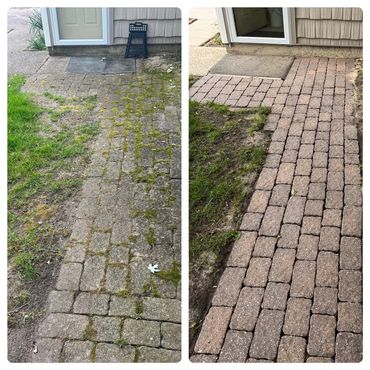Power washing algae on sidewalk