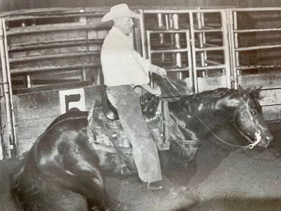 Gay Bar King, Springer Ranch, Foundation Quarter Horse, Springer Ranch Foundation Quarter Horse, Springer Ranch FQH, Brian Springer, James Springer, Jim Springer, Kay Springer