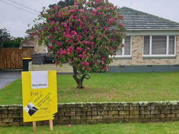 House with blooming tree and sold real estate sign on a rainy day.