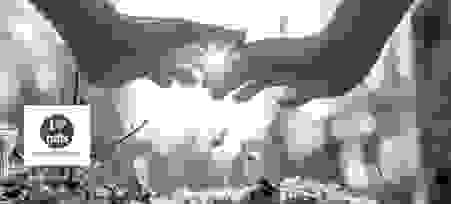 image40