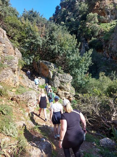 Group hiking on a rocky trail surrounded by lush greenery.