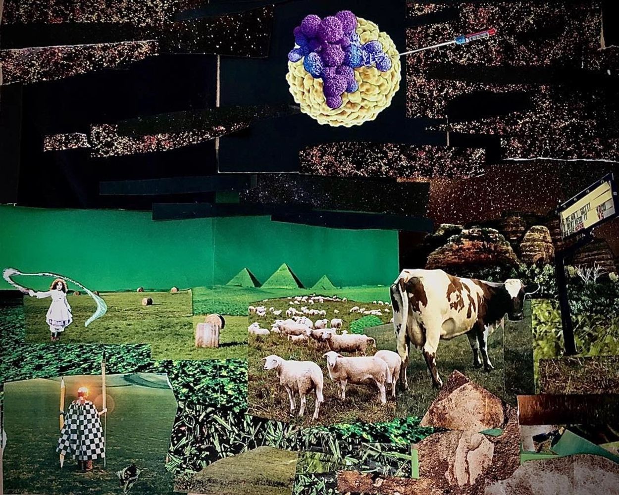 Collage by Emily Sheppard May 2020 "Welcome to  CoVoid"
