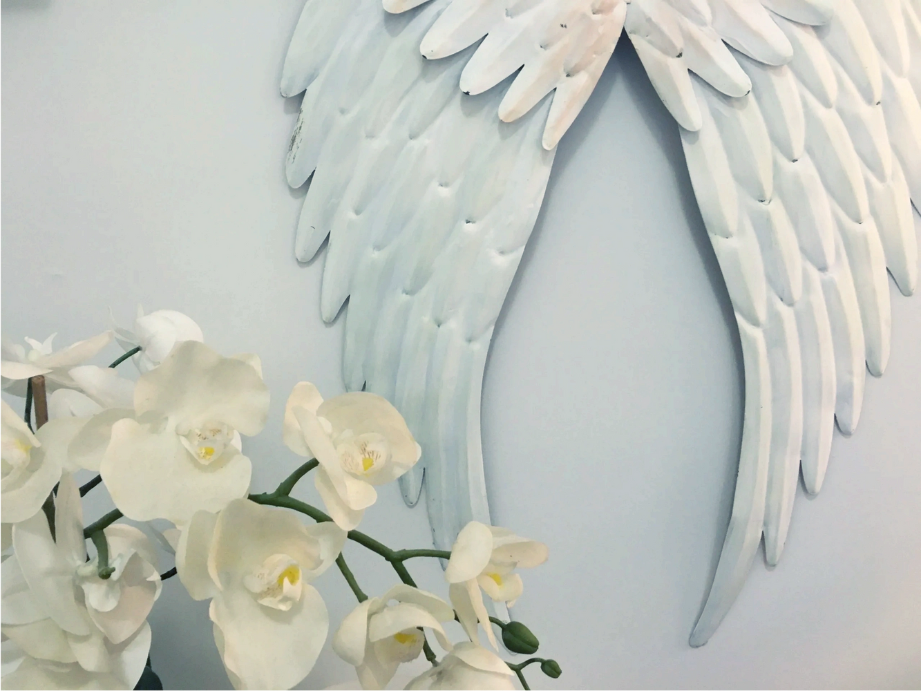Angel wings and flowers