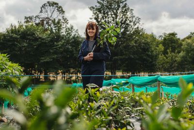 Photo of Beverly Wainwright holding a tea plant in her tea garden at Comrie Croft.