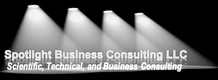 Spotlight Business & Technical Consulting