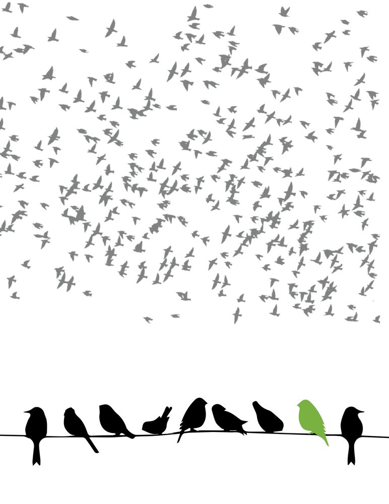 RareBirdDesign.com