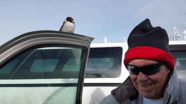 A little birdie decided to visit me at Crater Lake 12-29-2015