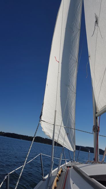 My daughter rented a boat so we could go sailing around Whidbey Island 9-12-2015