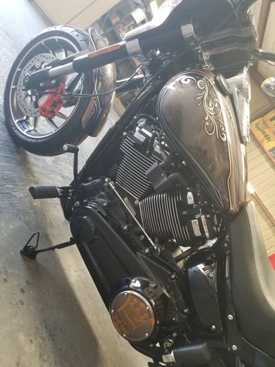 Powder coated parts and custom painted motorcycle