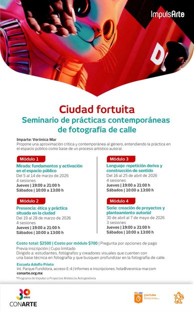 Flyer for a street photography seminar titled 'Ciudad fortuita' with modules on techniques and ethics.