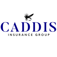 Caddis Insurance Group