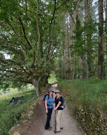 On the Camino de Santiago