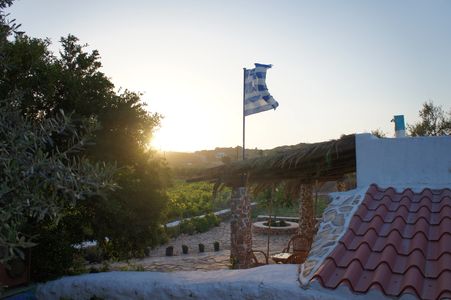 Dimitris Farm