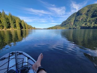 Photo Credi Adam Copp