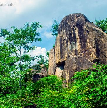 Large rock formation surrounded by green foliage under a blue sky.