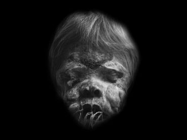 Rare child's shrunken head of a small boy from Ecuador, South America.