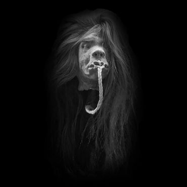 Tourist Trade genuine shrunken head from south america named steven tyler.