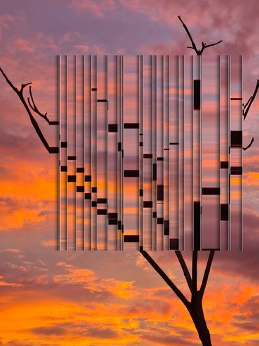 Arte fotográfico
• Perspectiva abstracta
• Atardecer
• Paneles en blanco y negro
• Ilusión de continuidad
• Profundidad visual
• Decoración moderna
• Oficinas
• Pasillos
• Diseño contemporáneo