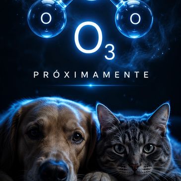 Ozonoterapia para perros y gatos