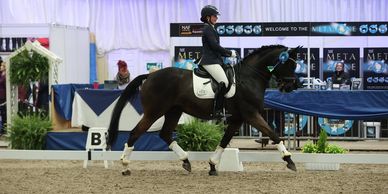Equestrian rider in formal attire performs dressage on a dark horse with blue rosette.