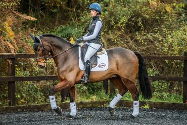 Equestrian rider in black vest and helmet practicing dressage on a bay horse.