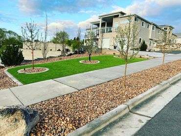Artificial turf in South Jordan, Utah. Low maintenance and no watering.