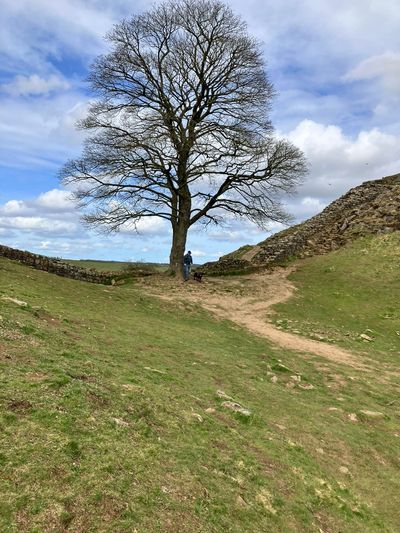 Sycamore Gap