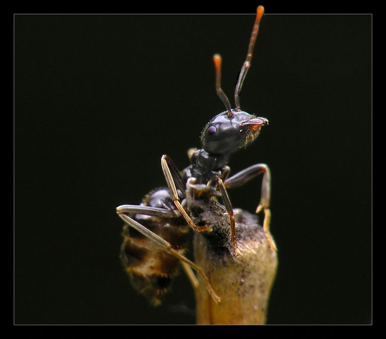 image108