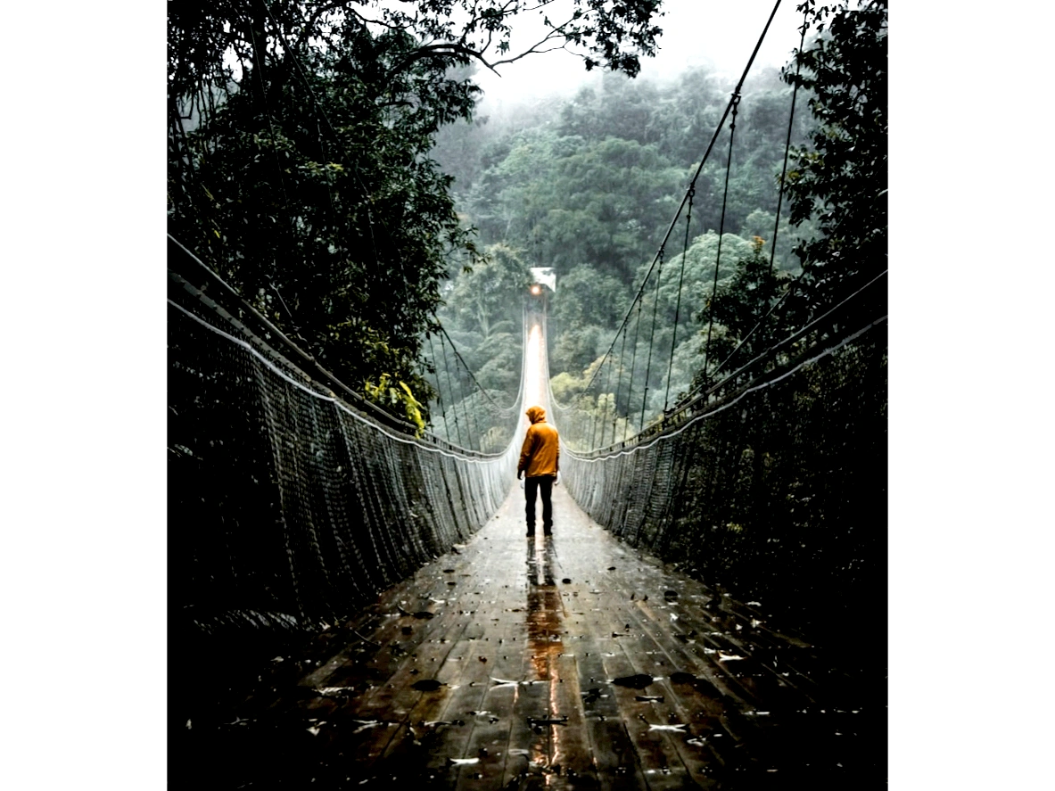 a man on a bridge in nature