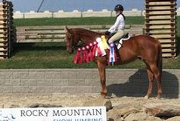 This rider worked so hard with this horse and was overjoyed with the results!
