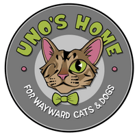 Uno's Home 
for Wayward Cats and Dogs