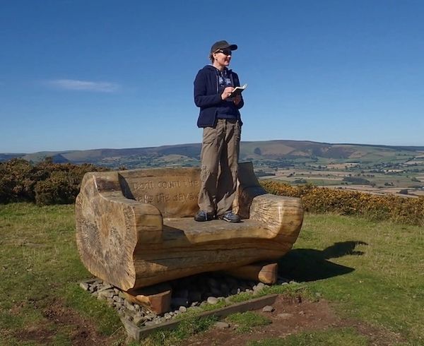 Artist Miranda Whitten-Walker sketching on Herrock Hill, standing on a large bench
