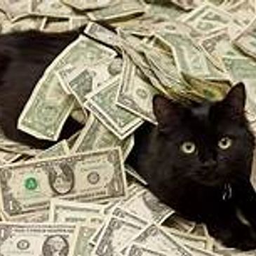 Kitty rolling in the dough
