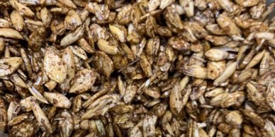 Rietdyk's Milling MOB