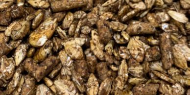 Rietdyk's Milling Dairy 16%