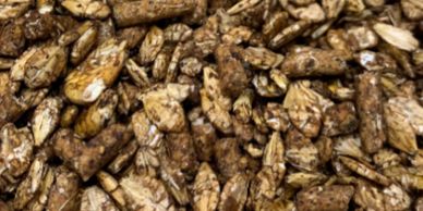 Rietdyk's Milling Medicated Calf Starter