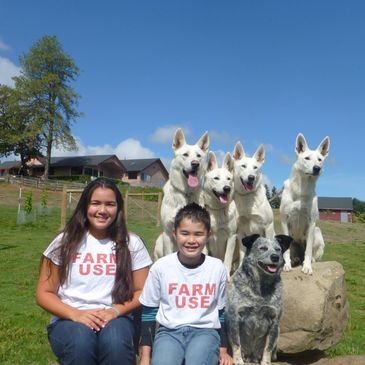 AKC white German Shepherds posing with the family