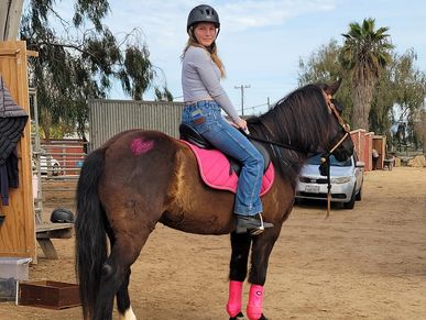 Things to do San Diego
Teenagers
Horseback Trail Rides
Horse lease